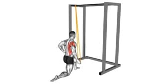 Resistance Band Kneeling Cross Body Single Straight Arm Supinated Pulldown (male) - Video Exercise Guide & Tips