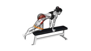 Resistance Band Kneeling Leg Half Circle on Bench (Female) - Video Exercise Guide & Tips