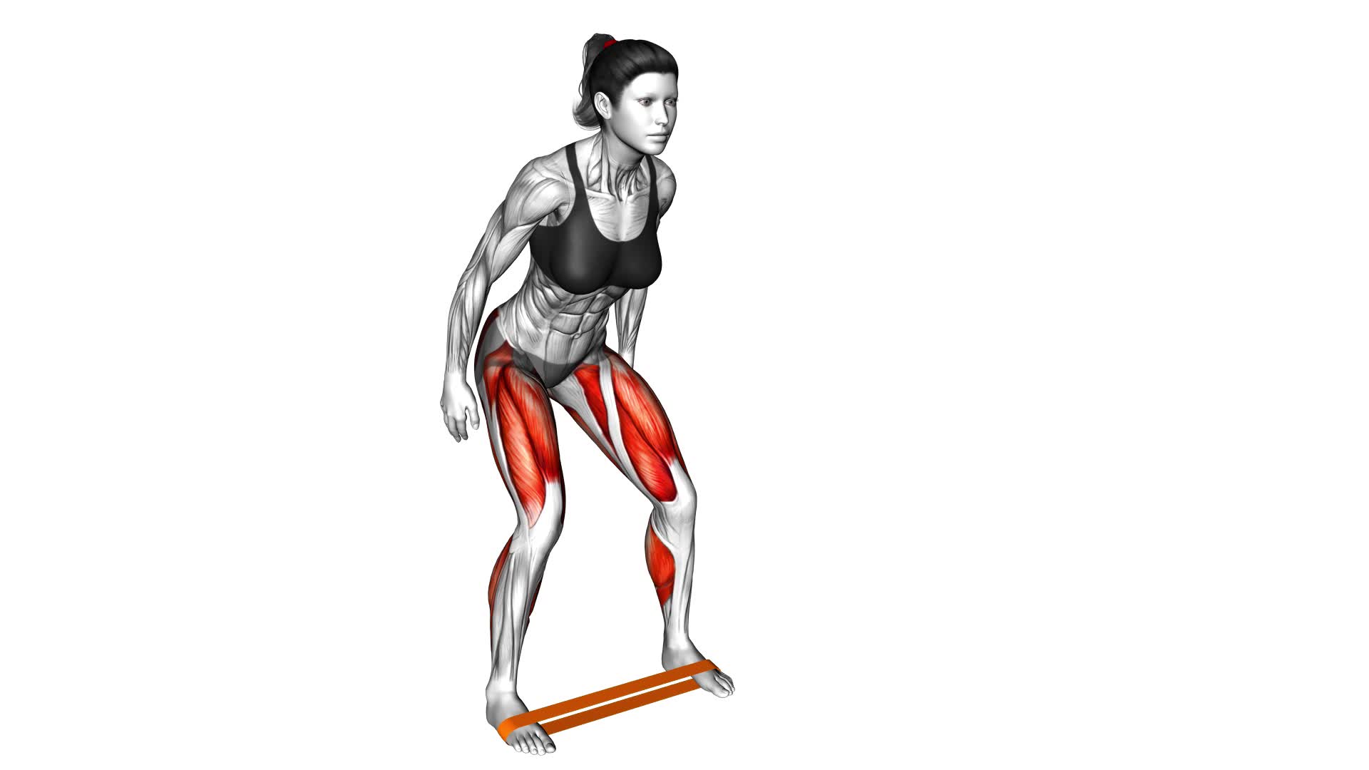 Resistance Band Lateral Walk (female) - Video Exercise Guide & Tips