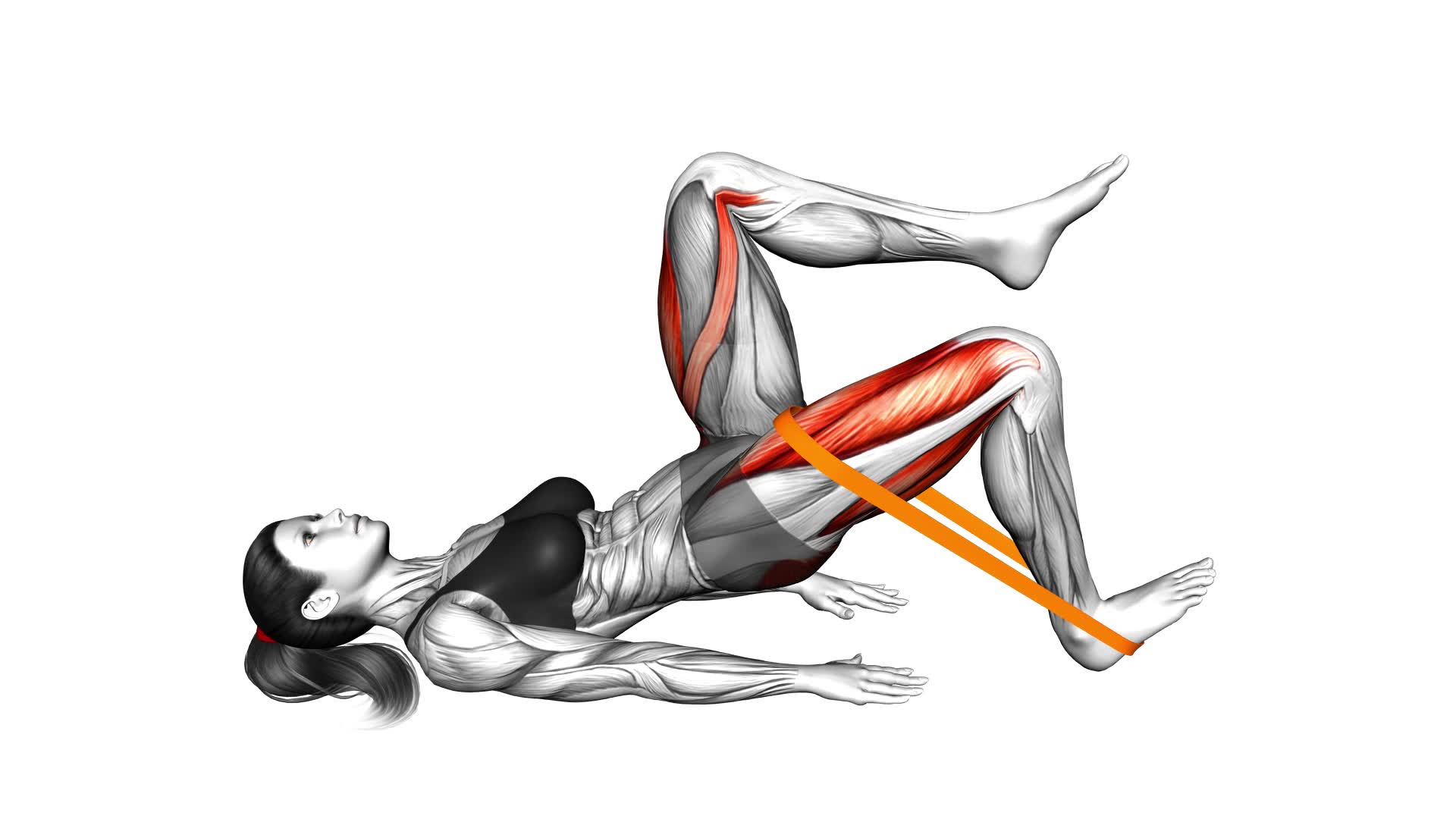 Resistance Band One Leg Glute Bridge (female) - Video Exercise Guide & Tips