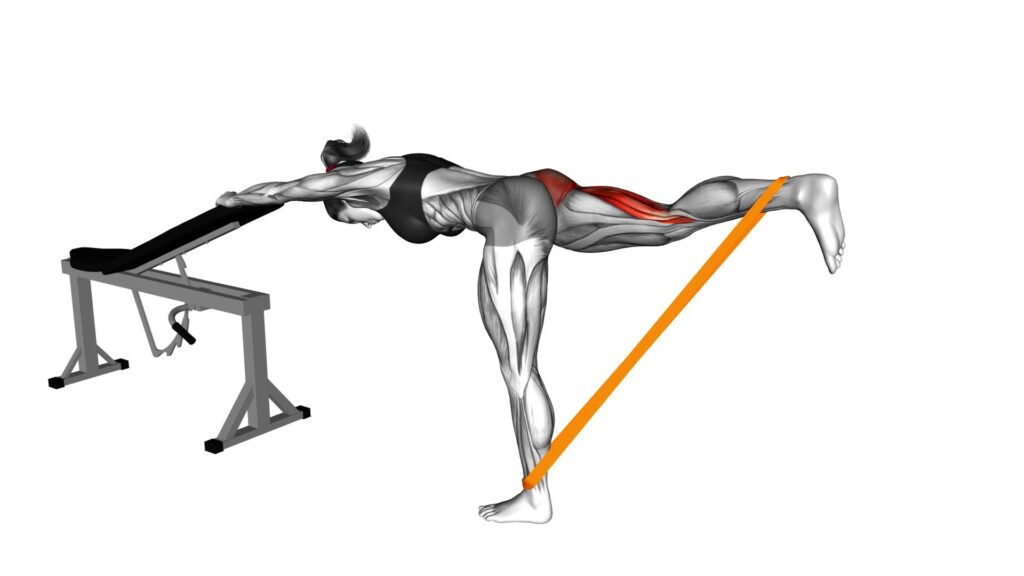 Resistance Band Seated Hip Abduction (female) - Video Exercise Guide ...