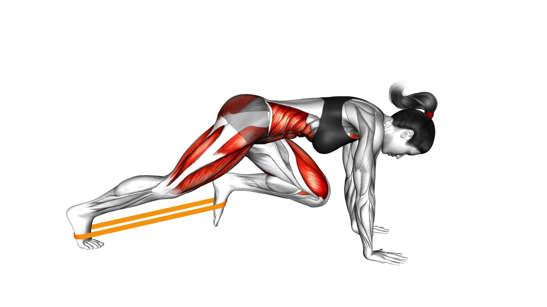 Resistance Band Plank March (female) - Video Exercise Guide & Tips