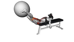 Resistance Band Reverse Hyper With Stability Ball on Flat Bench (Female) - Video Exercise Guide & Tips