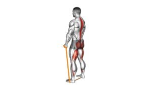 Resistance Band Romanian Deadlift - Video Exercise Guide & Tips