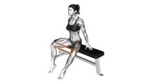 Resistance Band Seated Hip Abduction (female) - Video Exercise Guide & Tips