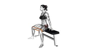 Resistance Band Seated Hip Abduction (VERSION 2) (female) - Video Exercise Guide & Tips