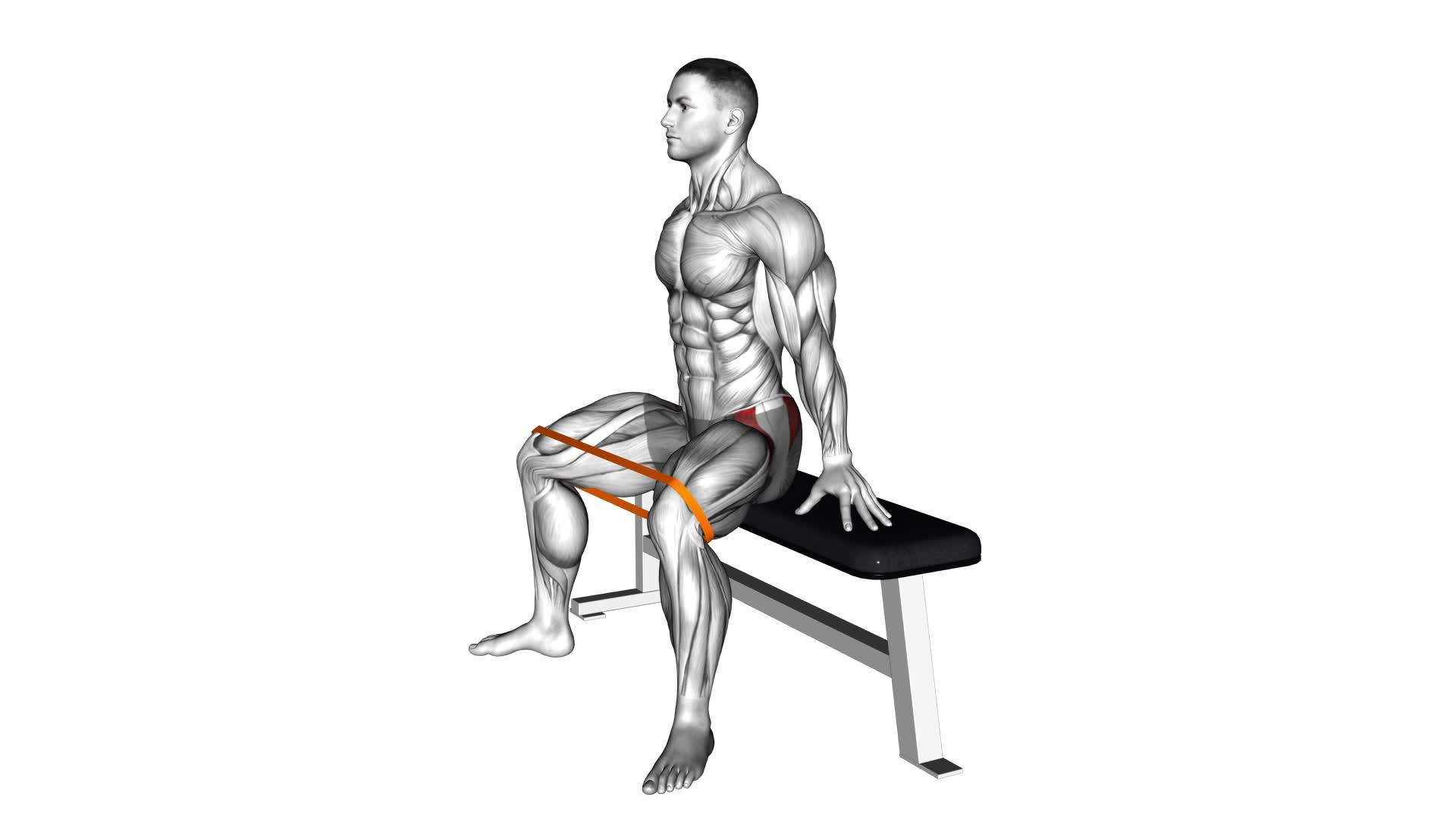 Resistance Band Seated Hip Abduction (VERSION 2) - Video Exercise Guide & Tips