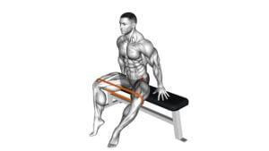 Resistance Band Seated Hip Abduction - Video Exercise Guide & Tips