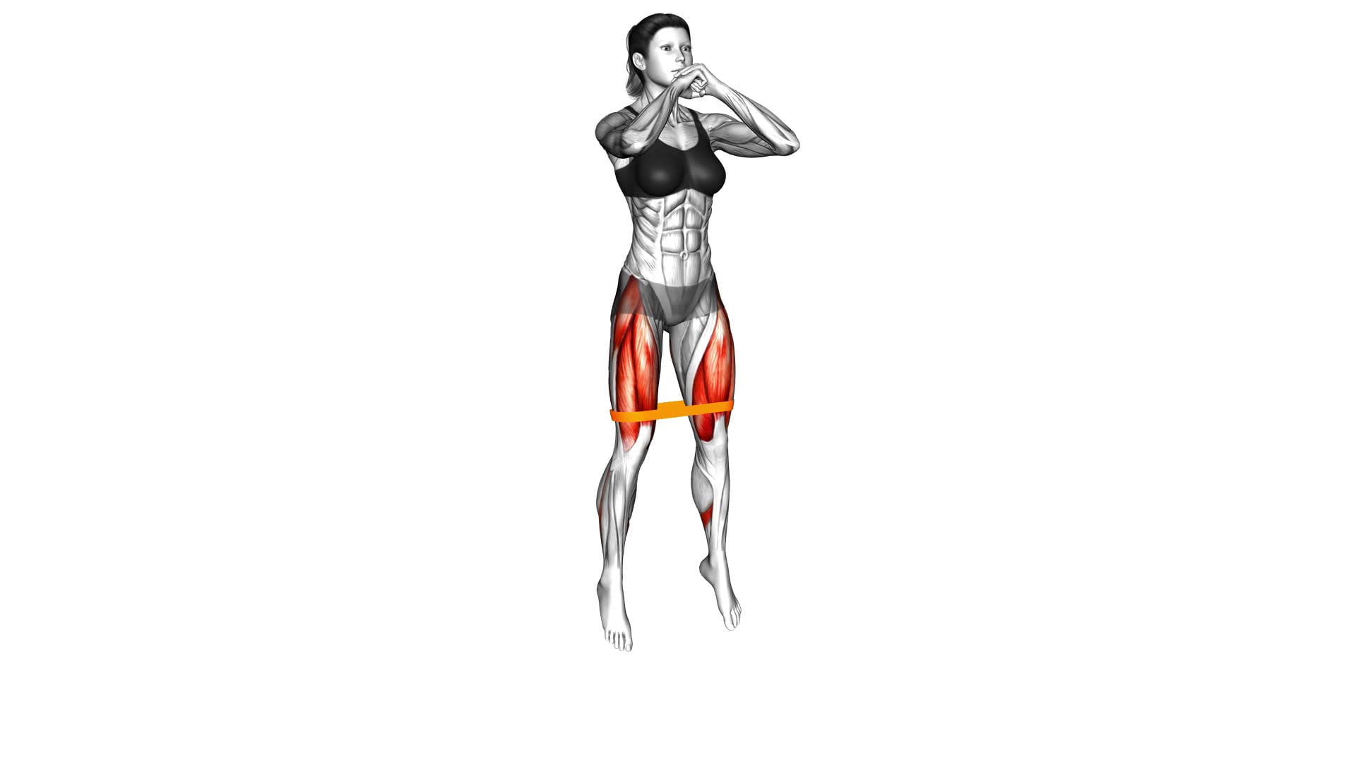 Resistance Band Squat Jump (female) - Video Exercise Guide & Tips