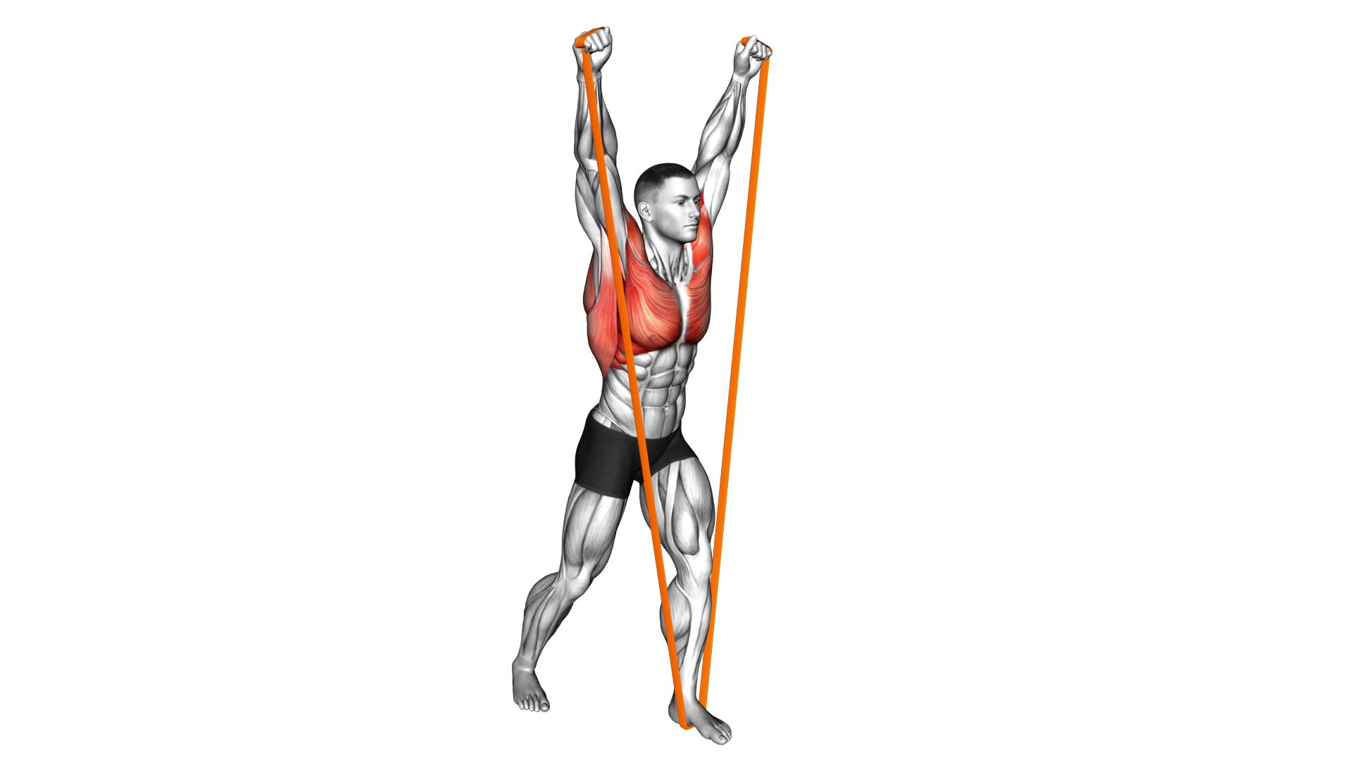 Resistance Band Standing Around the World (male) - Video Exercise Guide & Tips