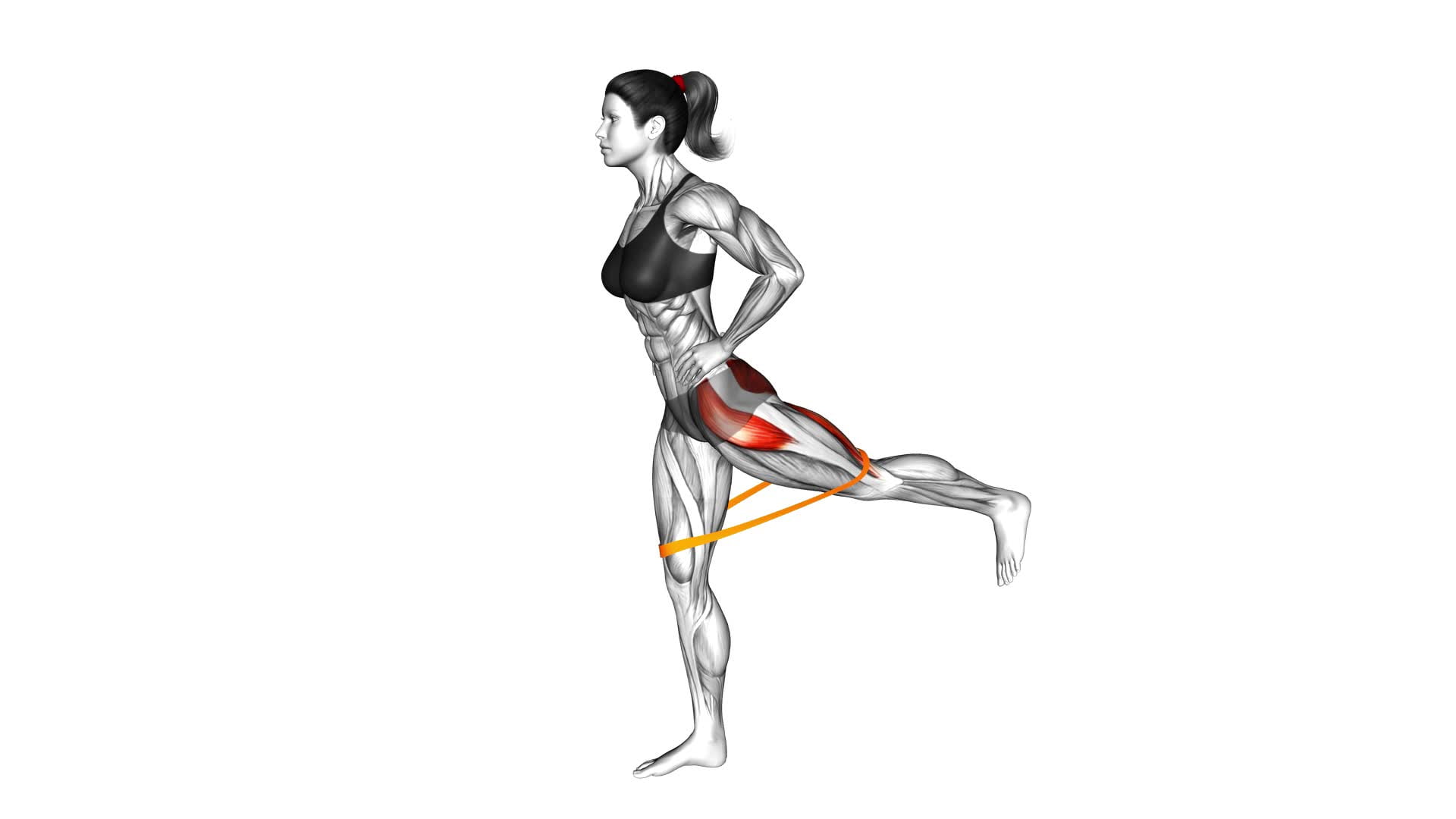 Resistance Band Standing Balance Glute Kickback (VERSION 2) (female) - Video Exercise Guide & Tips