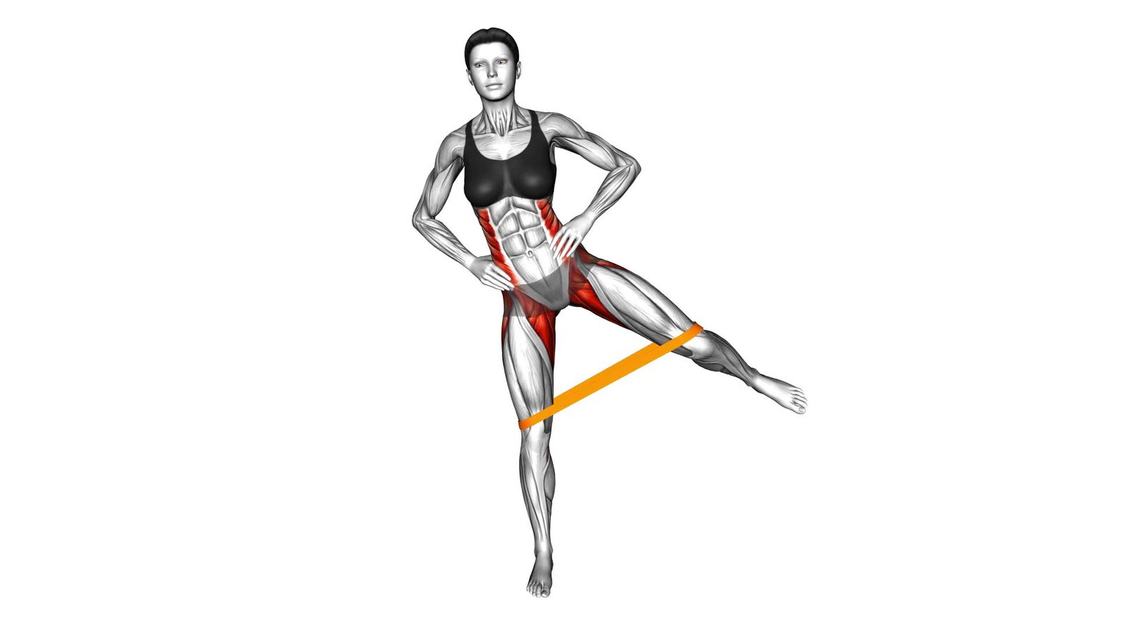 Resistance Band Standing Balance Hip Abduction female Video 