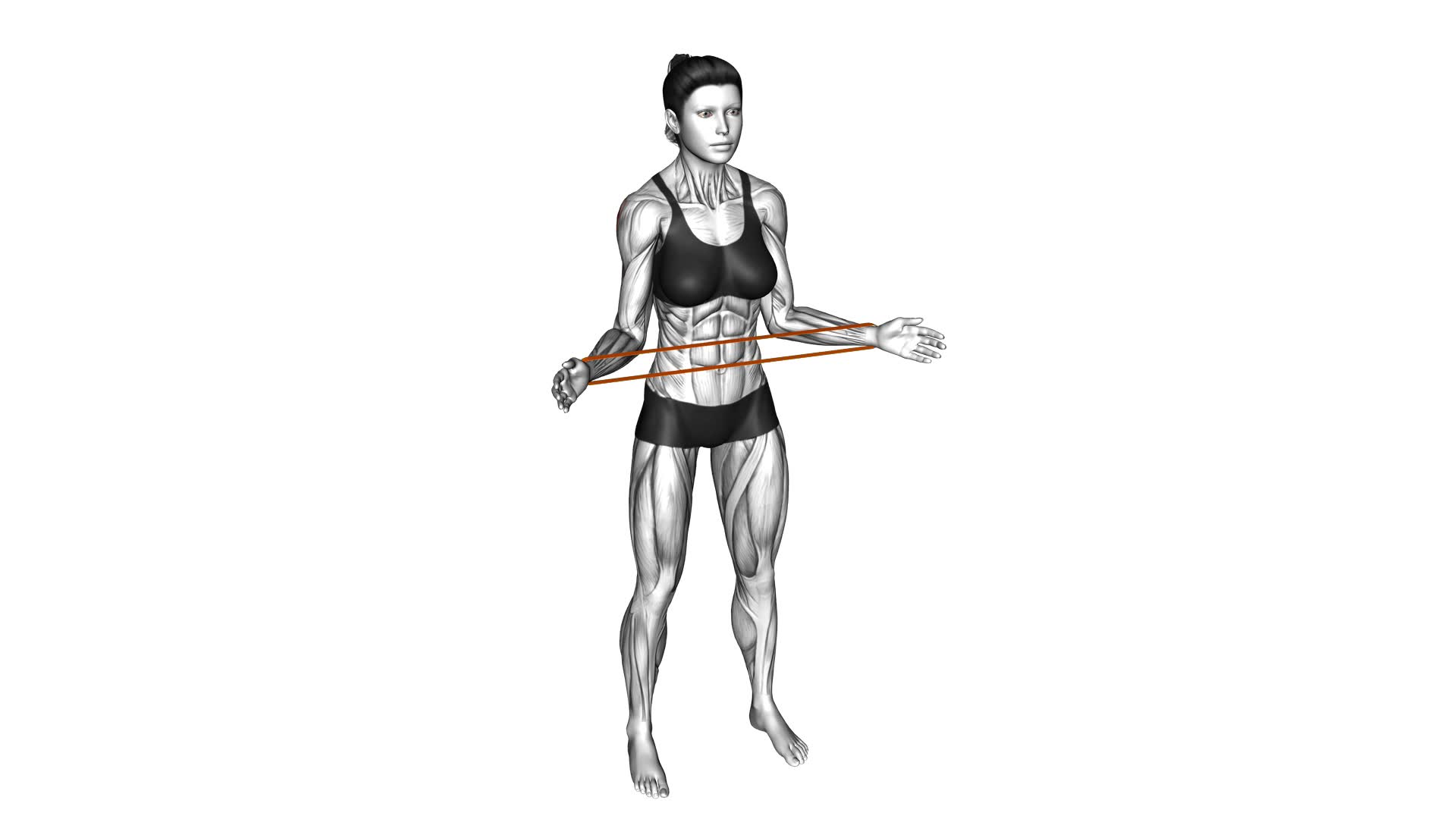 Resistance Band Standing External Rotation (female) - Video Exercise Guide & Tips
