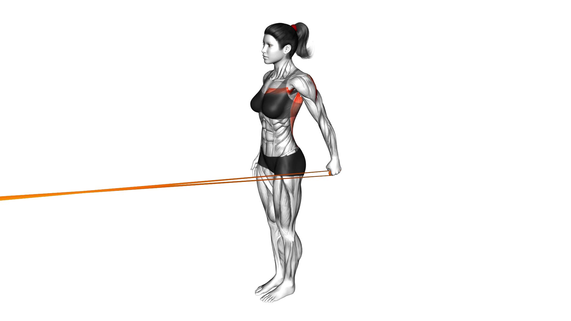 Resistance Band Standing Single Arm Lateral Shoulder Extension (female) - Video Exercise Guide & Tips