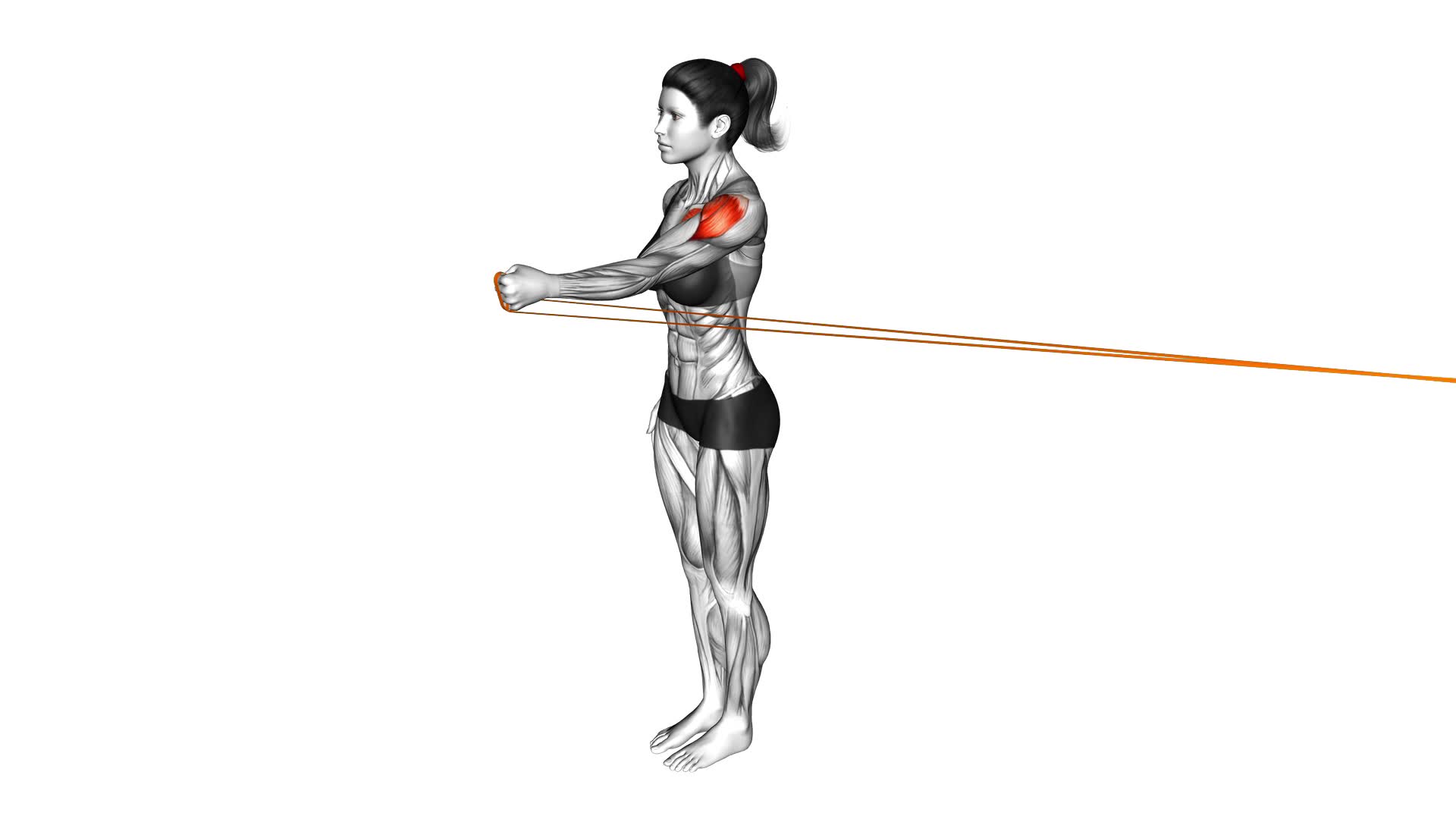 Resistance Band Standing Single Arm Shoulder Flexion (female) - Video Exercise Guide & Tips