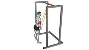 Resistance Band Triceps Pushdown - Video Exercise Guide & Tips