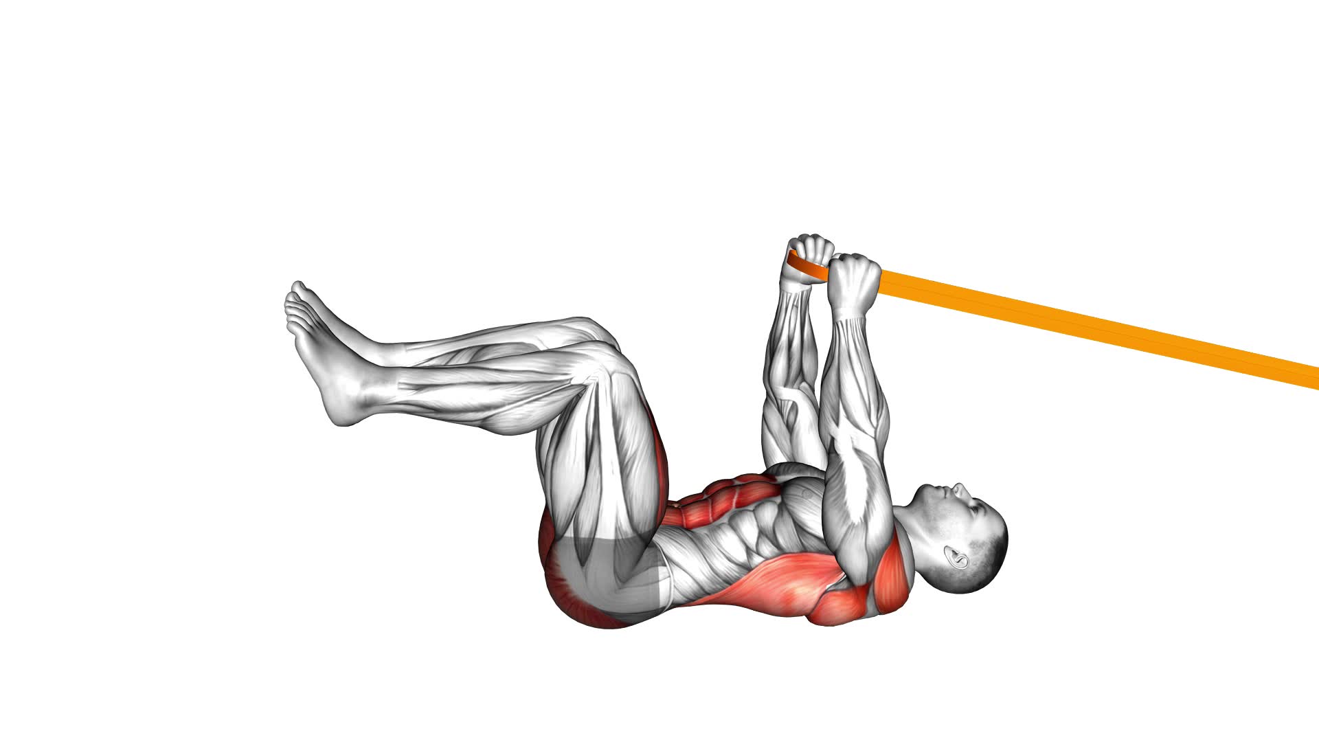 Resistance Band Upper Body Dead Bug - Video Exercise Guide & Tips