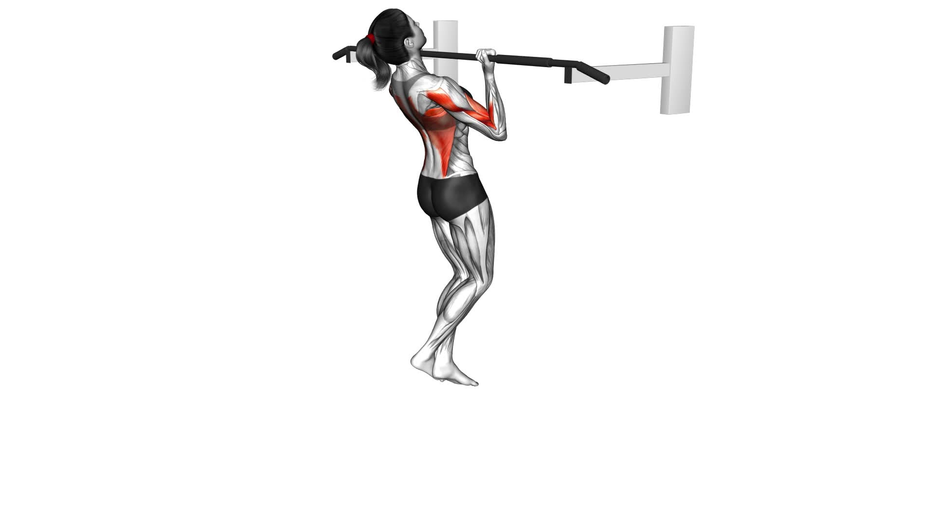 Reverse Grip Pull-Up (Female) - Video Exercise Guide & Tips