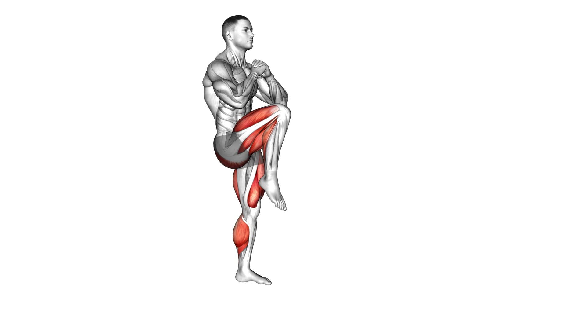 Reverse Lunge High Knee Forward Lunge (male) - Video Exercise Guide & Tips
