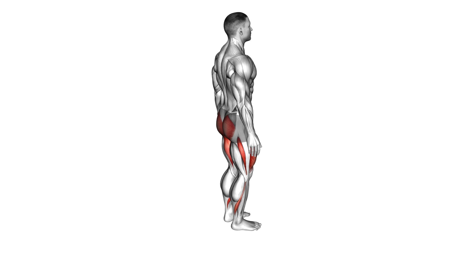 Reverse Lunge Leg Kick: Video Guide & Tips For Men