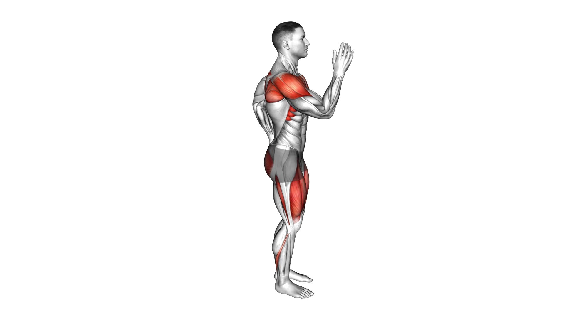 Reverse Lunge Quick Arms (male) - Video Exercise Guide & Tips