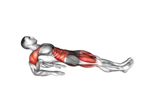 Reverse Plank on Elbows - Video Exercise Guide & Tips