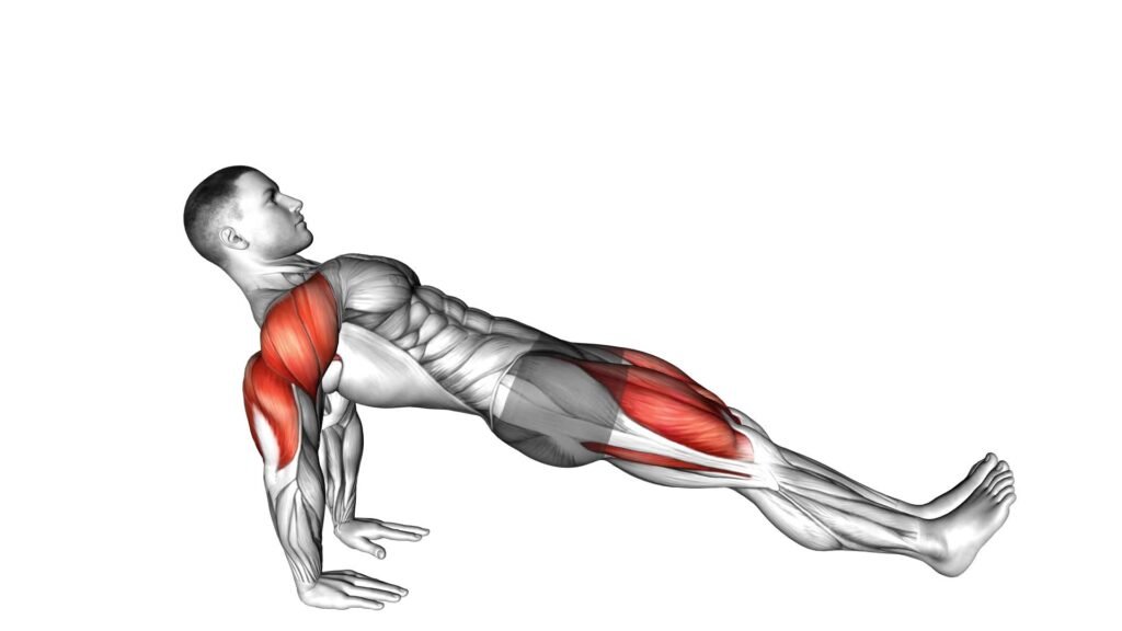 Reverse Plank Ultimate Guide Tips Video Exercise For Core Strength