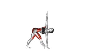Revolved Triangle Pose (female) - Video Exercise Guide & Tips