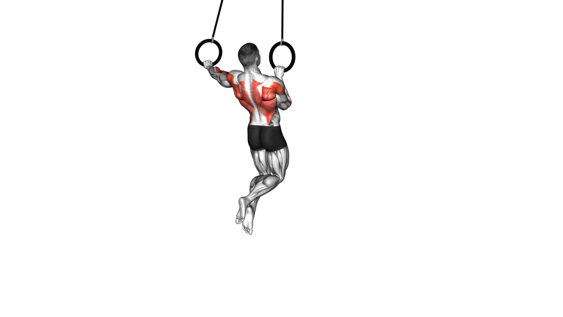 Ring Archer Pull-up (male) - Video Exercise Guide & Tips