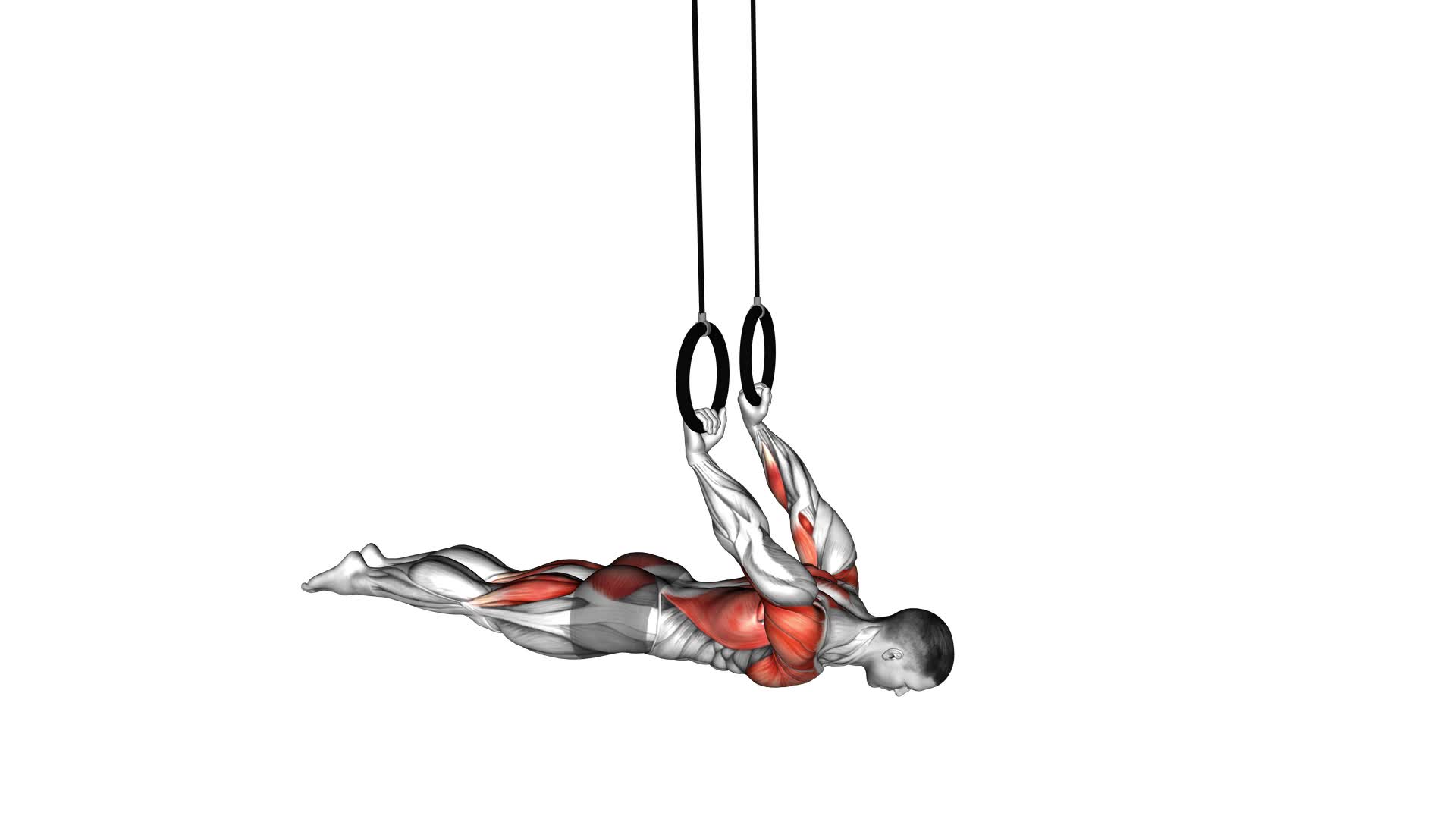 Ring Back Lever (male) - Video Exercise Guide & Tips