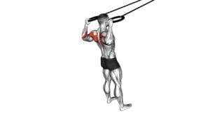 Ring Face Pull (male) - Video Exercise Guide & Tips