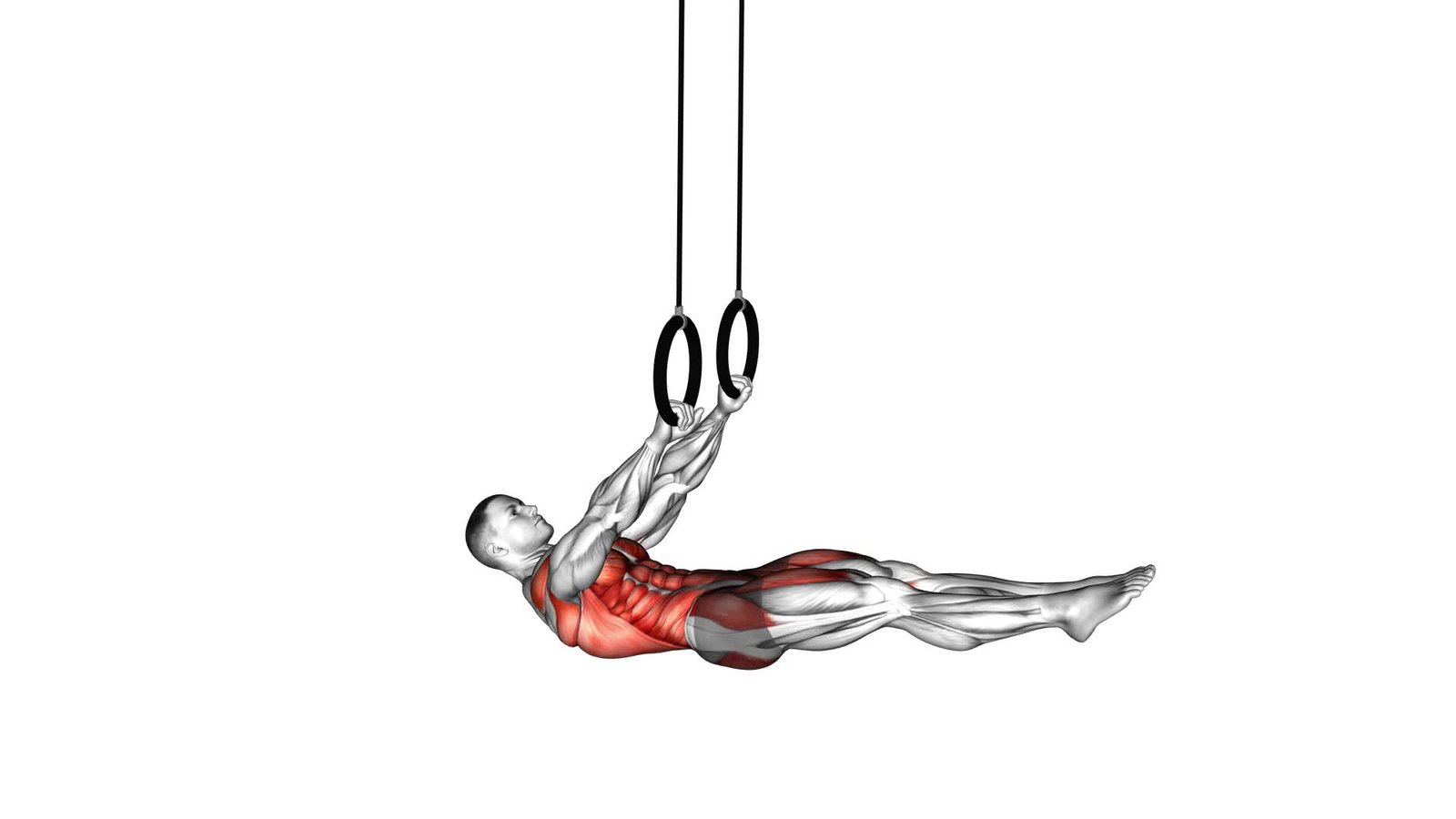 Ring Front Lever (male) - Video Exercise Guide & Tips