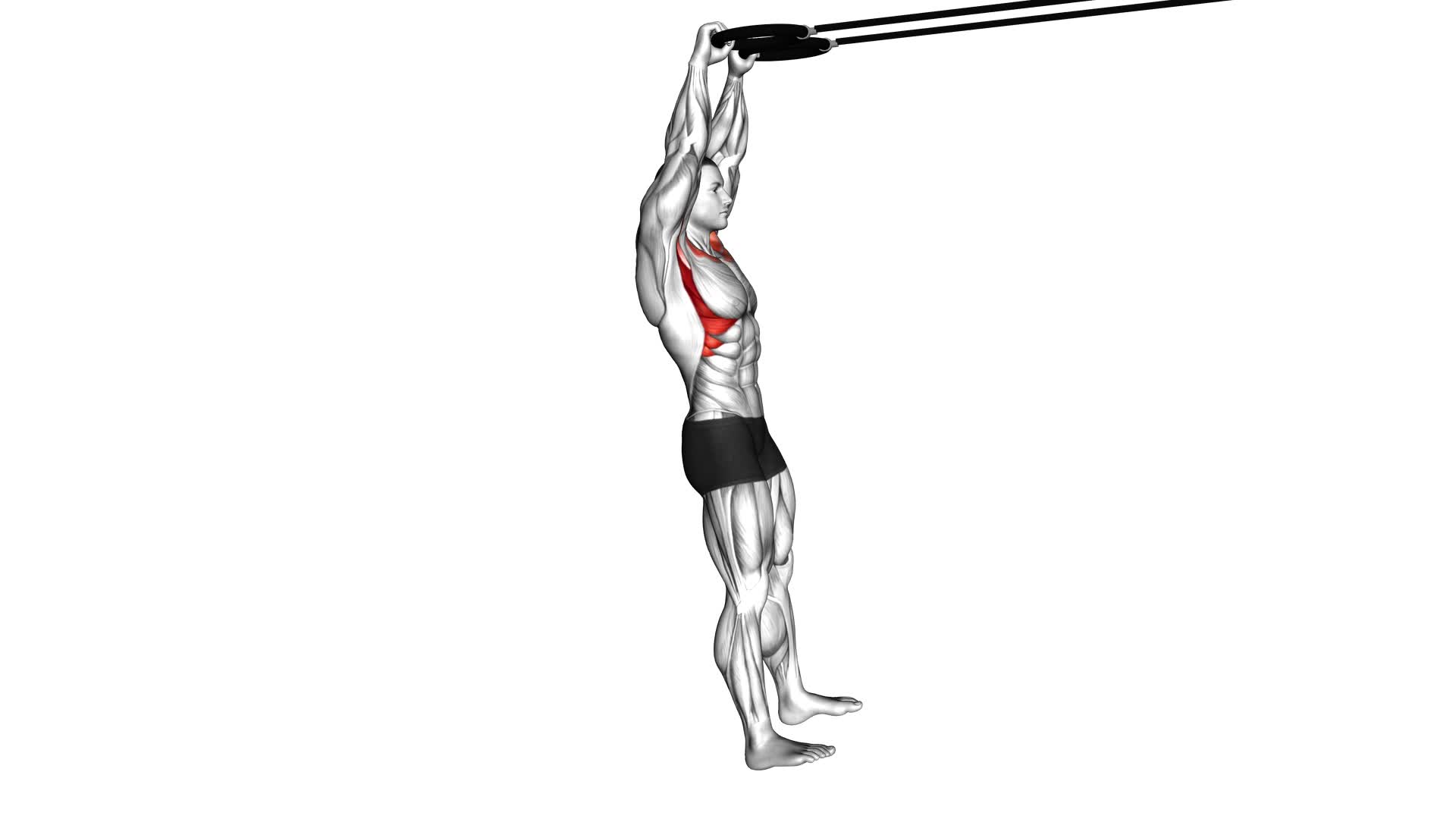 Ring Front Raise (male) - Video Exercise Guide & Tips