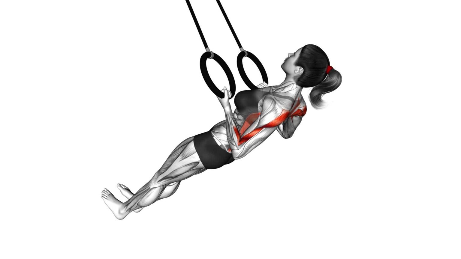 Ring Inverted Row (Female): Video Guide & Tips For Effective Upper Body ...