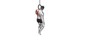 Ring One Arm Pull-up (male) - Video Exercise Guide & Tips