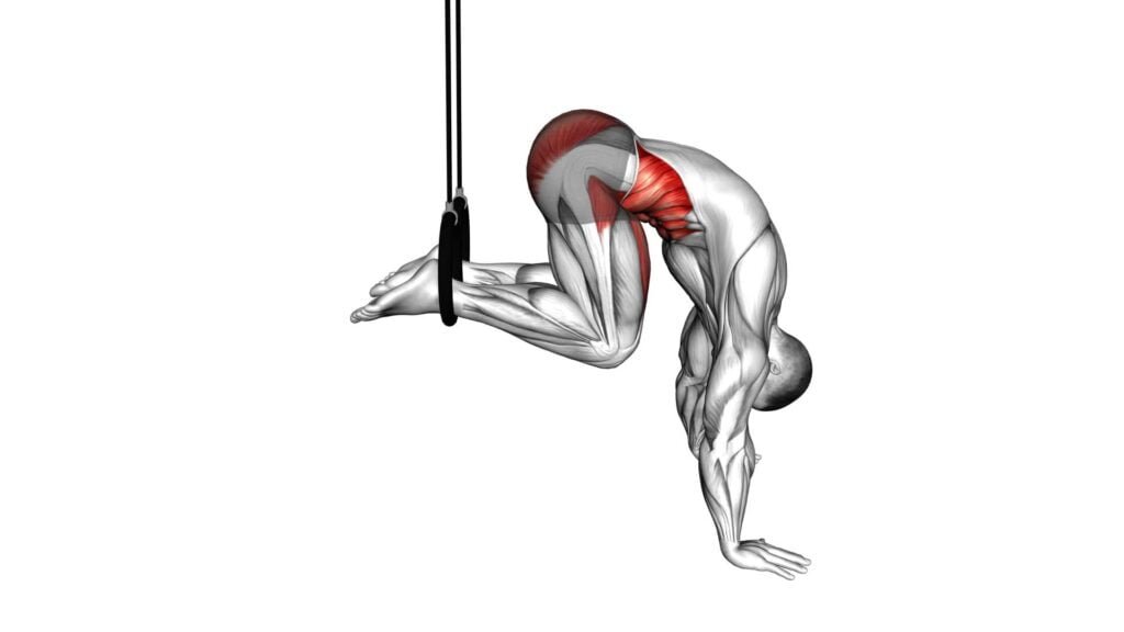 Ring Reverse Ab Rollout: Ultimate Guide & Tips