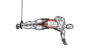 Ring Side Bridge (male) - Video Exercise Guide & Tips
