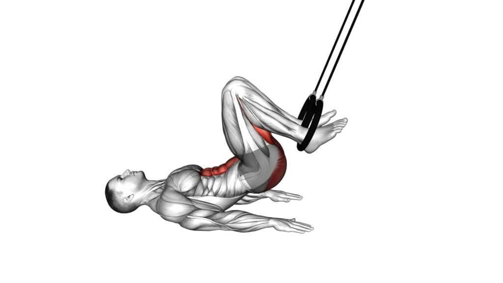 Get Fit With Suspender Straight Hip Leg Curl (female) - Video Guide & Tips