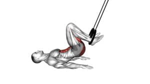 Ring Straight Hip Leg Curl (male) - Video Exercise Guide & Tips
