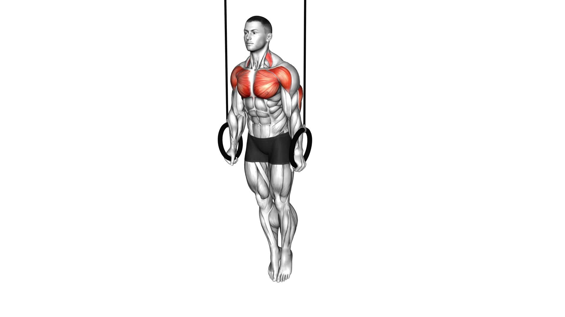 Ring Support Hold - Video Exercise Guide & Tips