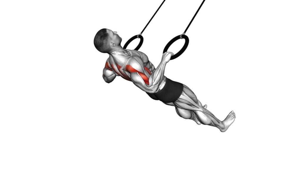 Wide Inverted Rows Suspender Wide Grip Inverted Row - Exercise Guide & Tips