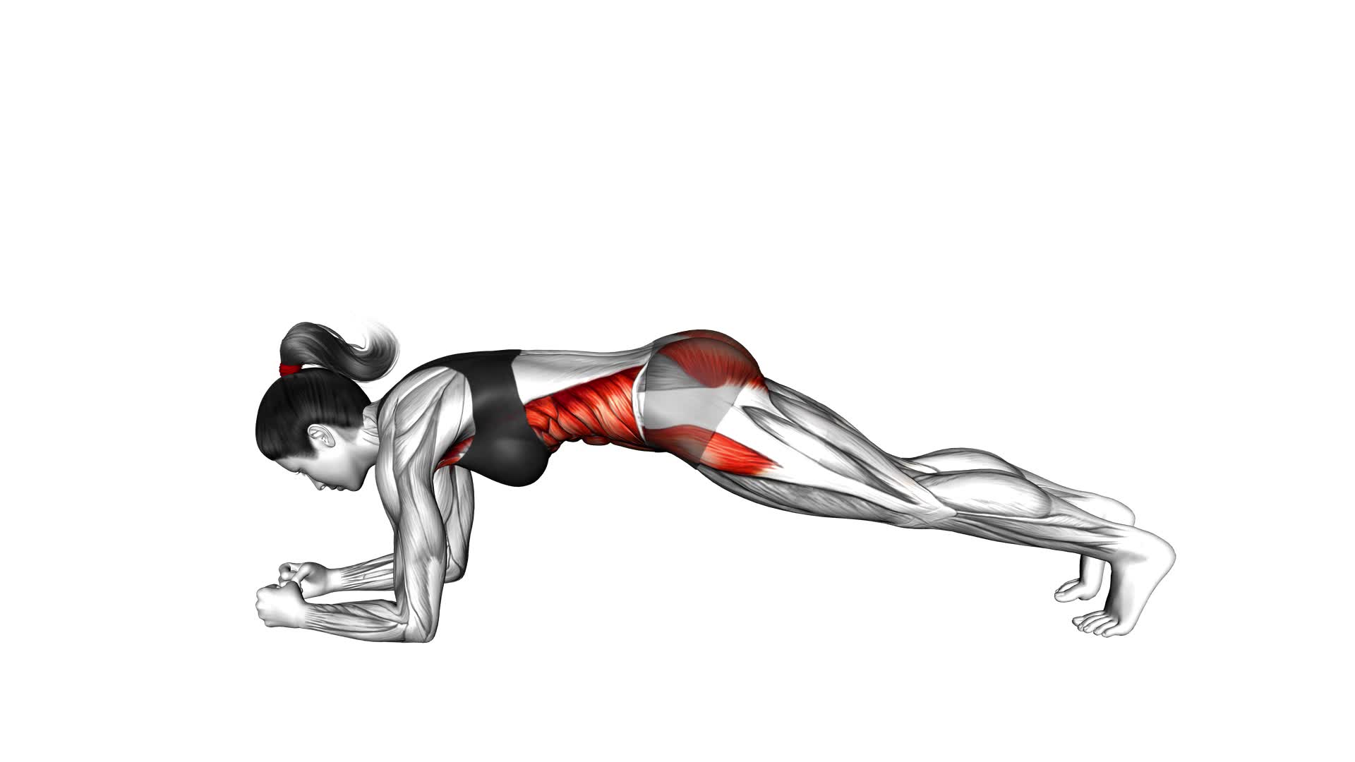 RKC Plank (female) - Video Exercise Guide & Tips