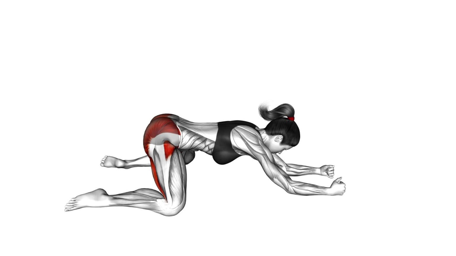 Half Frog Stretch (female) - Video Guide & Tips For Effective Exercise