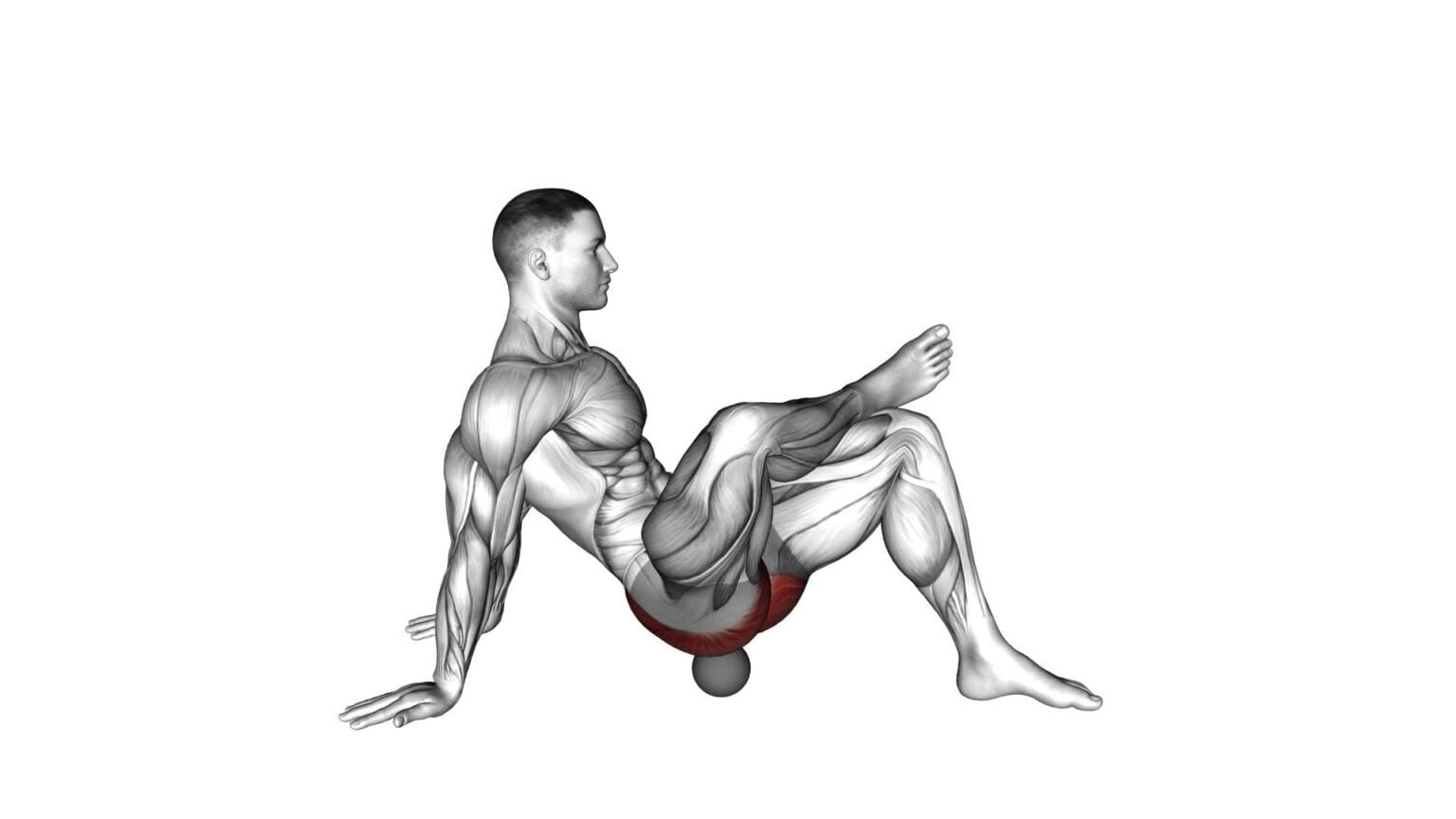 Roll Ball Piriformis Release - Exercise Guide & Tips