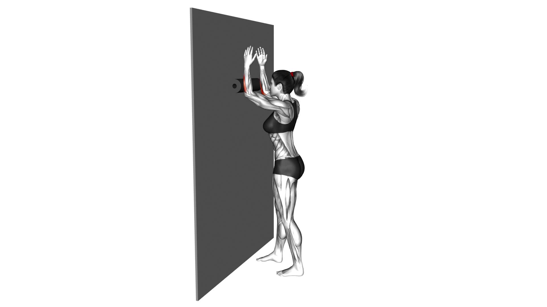 Roll Forearms Standing Against Wall (female) - Video Exercise Guide & Tips