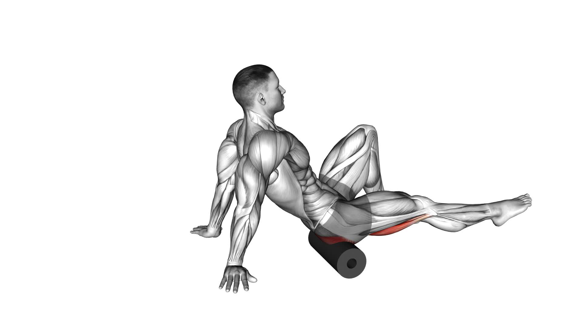 Roll Hamstrings and Glute Sitting on Floor - Video Exercise Guide & Tips