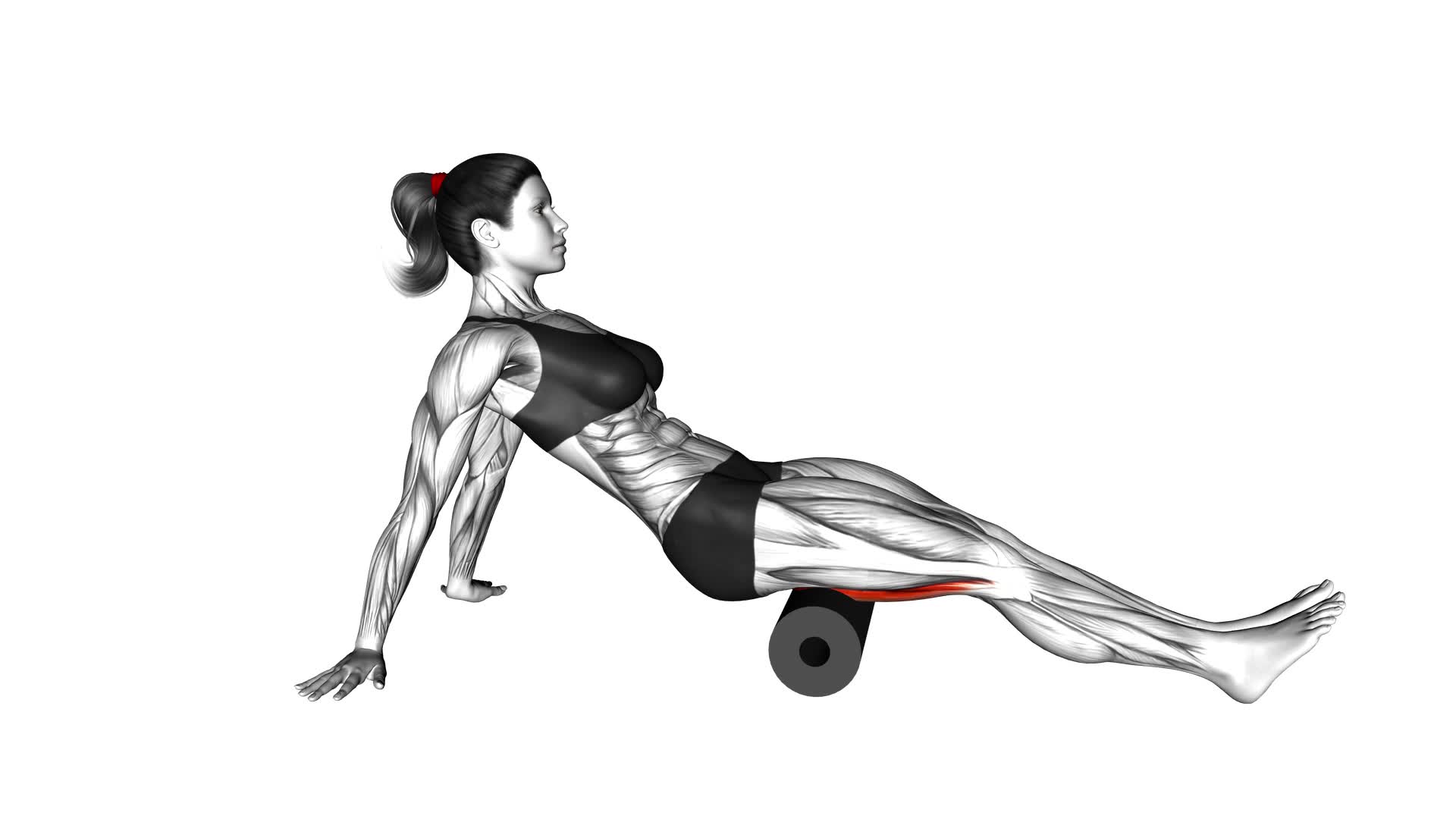 Roll Hamstrings Sitting on Floor (female) - Video Exercise Guide & Tips