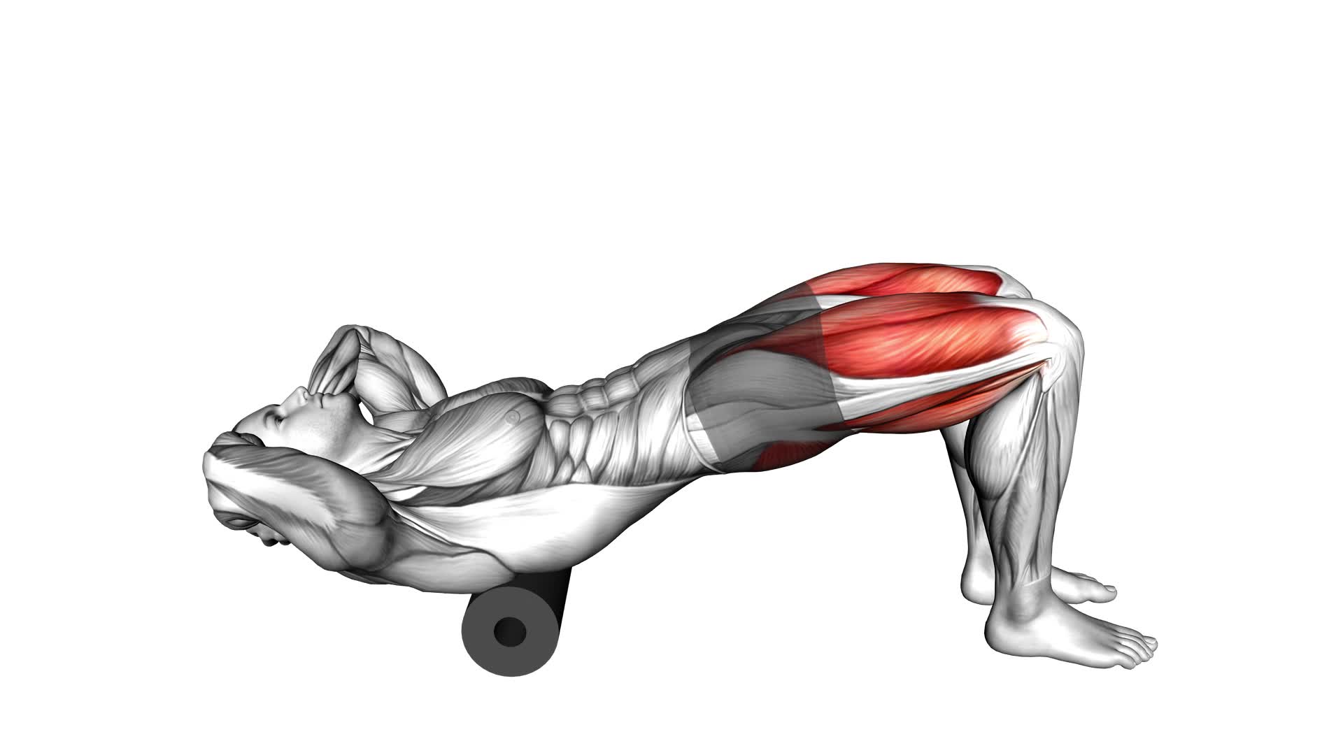 Roll Hip Thrust (male) - Video Exercise Guide & Tips