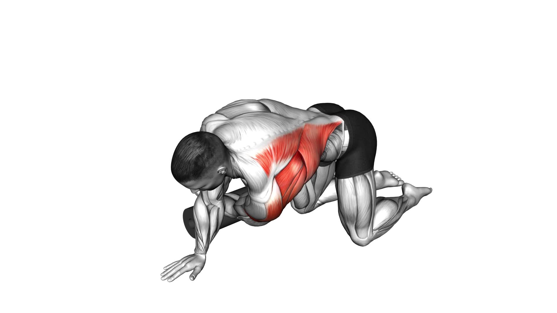 Roll Kneeling Upper Back Rotation - Video Exercise Guide & Tips