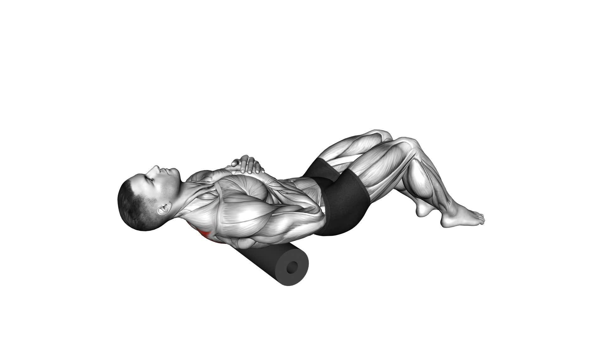 Roll Middle Back Lying on Floor - Video Exercise Guide & Tips